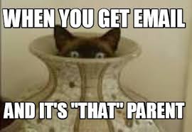 Meme Creator Funny When You Get Email And It S That Parent Meme Generator At Memecreator Org Teacher Humor Teaching Humor Parenting Memes