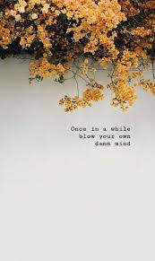 Maybe you would like to learn more about one of these? Flowers Have Their Own Beauty Just Like Every Person In This World Flower Quotes Funny Quotes For Instagram Yellow Flower Quotes