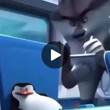 Kowalski | Madagascar Wiki | Fandom