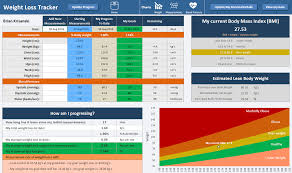 Weight Loss Tracker Excelsupersite