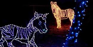 Zoolights At The Phoenix Zoo Zoos Light Up The Holiday Season Minitime Com