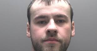 London phone snatcher Oliver Brady jailed for over two years