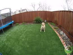 Pin By Anita Eicher Pack On Dog Stuff New House Ideas Dog Backyard Dog Friendly Backyard Diy Dog Fence