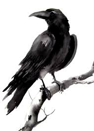 Black And White Raven Art Crow Raven Original Watercolor Painting 9 X 12 Raven Art Crow Art Crow