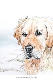 Ein jahr zuvor habe ich es bereits in öl angefertigt, aber es hat mir nicht gefallen. Illustrationen Und Portraits Hund Malen Lassen Portfolio Aram Und Abra Hund Malen Hund Zeichnungen Illustration