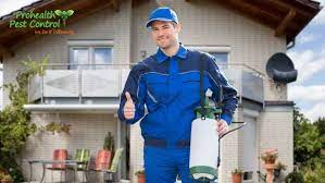 Conventional pesticides contain toxic ingredients that can, according to the epa, affect the nervous system, cause skin and eye irritation, affect hormones and dust regularly. Why You Should Choose Non Toxic Pest Control For Your Home