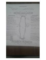 Dental Sample Jpg Datepol Canine Dental Chart Owners Name