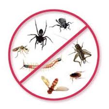 To provide excellence in service for every client. Household Pest Control Services In Pune Dhankawadi By Green City Pestcontrol Id 20321432255