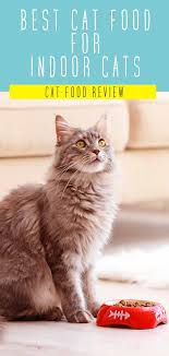 This option contains real chicken and antioxidants, and is formulated to help with weight management. Best Cat Food For Indoor Cats Top Tips And Reviews