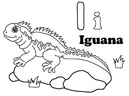 The original format for whitepages was a p. Free Printable Iguana Coloring Pages For Kids