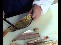 Barsch Filetieren Reinigung Youtube Food Cooking Fish