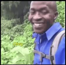 Black guy meme templates imgflip. Okey Smile Gif Okey Smile Blackguy Discover Share Gifs