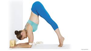 3 Prep Poses For Forearm Balance Pincha Mayurasana Ioga Acalma