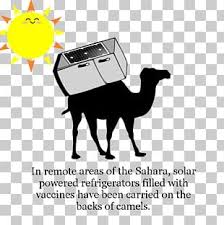 Camel qurbani saith house part 1. Qurbani Png Images Qurbani Clipart Free Download