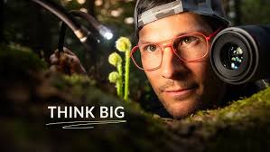 Macro Photography Expedition into Auckland's Mossy Delights