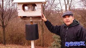 A stove pipe is a major deterrent if squirrels are climbing up your bird feeder pole. How To Keep Squirrels Off Of Your Bird Feeder Youtube