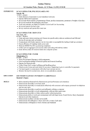Scale Operator Resume Samples Velvet Jobs