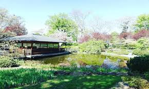 Japanischer Gartenzauber In Wien I 1000things At