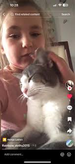 Whose cat is this in Kingston?