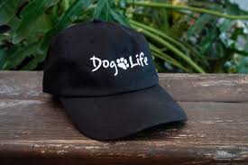 Image result for tbn:ANd9GcT9GTDvoeZslbTfRgc9SbtLfmHl15TvbB2vJ134_7_XnofUBeY3skxFMC8:https://www.doglife.sitew.com/fs/Root/5vdf8-5615663_chien_malade_sur_le_c_t_et_sur_fond_blanc.jpg