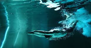 Pin On Workout For Neck Shoulder And Core Strengthening