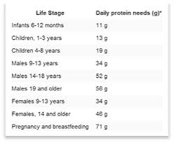 28 disclosed protein chart for weight