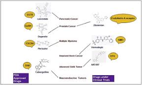 Look at the clues on the cards to get your points! The Current Status Of Anti Gpcr Drugs Against Different Cancers Sciencedirect