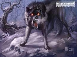 صور ذئاب fotos de lobo criaturas miticas criptidos