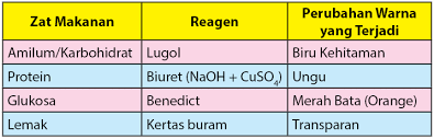 Maybe you would like to learn more about one of these? Uji Makanan Amilum Glukosa Protein Dan Lemak Idschool