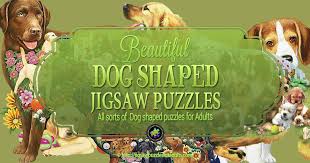 In a world where it's easy to get consumed by the sole pursuit of electronic gadgets, you'll find our unique brand of wooden jigsaws puzzles an entertaining and rewarding alternative. Joy Mags Labrador 343 Piece Puzzles For Adults Animals Shaped Puzzles Unique Shaped Jigsaw Puzzles Dog Jigsaw Puzzles Labrador Unique Puzzles For Kids Puzzles Toys Games General Logistic Ba
