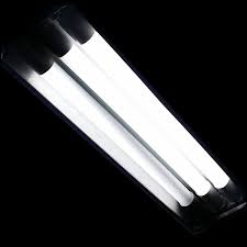 Plug Play 24 Inch T8 Daylight Led Replace F20t12 And F17t8 W O Retrofit