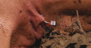 Bee Sting Pussy Torture - Cumception