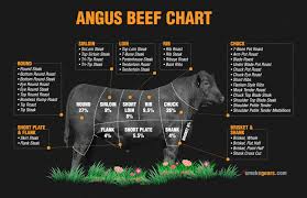 Beef Cuts Chart December 2019 What You Needed To Know