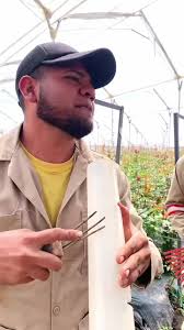 Mensaje especial del grupo Las Joyas del Vallenato