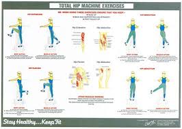 Chart Workout Routines Older Adults Exercise Chart Hip