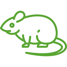 Controlling pests in the home garden is possible, but i'll be honest… it takes some work! Pest Control Extermination Services Plant City Tampa Fl Safari Pest Control Llc