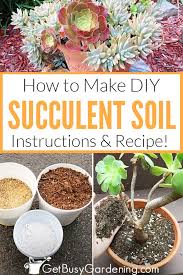 Add 1 part potting soil, 1 part coarse builder's sand and 1 part peat moss to a large container. How To Make Your Own Succulent Soil With Recipe Get Busy Gardening