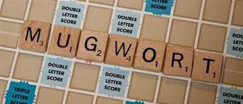 A correct word also had a two letter formed with a letter in a previous word. How To Score Big With Simple 2 Letter Words In Scrabble Scrabble Wonderhowto