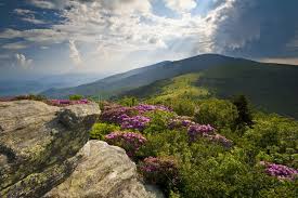 Appalachian Trail Roan Mountain Rhododendron Bloom On Blue Ridge Peaks Scenic L Sponsored Appalachian Trail Walk Around The World Appalachian Trail Hiking