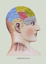 Phrenology Head Chart Vintage Anatomy Phrenology Poster