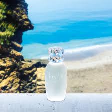 Buy Inis The Energy Of The Sea Cologne Spray 3 3 Fluid Ounce Online In Vietnam B000otzlfg