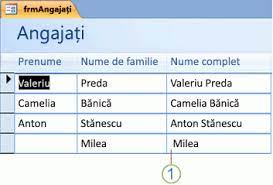 CombinaÈ›i Valori Text Utilizand O Expresie Access