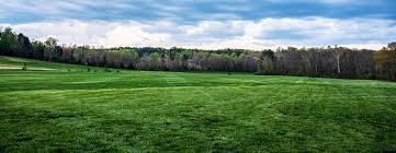 (8) central turf farms (2) greenfields turf (2). Brookmeade Sod Farm Hanover County Virginia Order Your Sod 804 883 6338