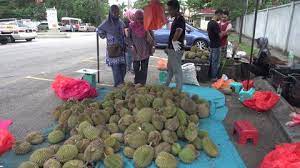 The whole town gets inundated with durian during the season, and is on the route for durian tours from singapore. Malaysia July 2017 Durian Stock Footage Video 100 Royalty Free 28753033 Shutterstock