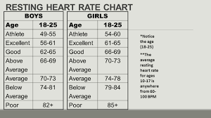 Measures Of Cardiovascular Fitness Ppt Download