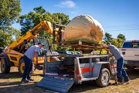 Image result for giant pumpkin