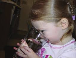 Management Strategies for North Carolina's Estuarine Shoreline