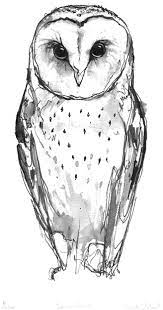 Barnowls Owls Drawing Barn Owl Tattoo Barn Owl Art