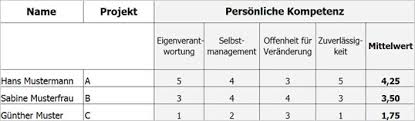 Check spelling or type a new query. Strategische Personalentwicklung Potenzialanalyse Fur Projektleiter Und Mitarbeiter