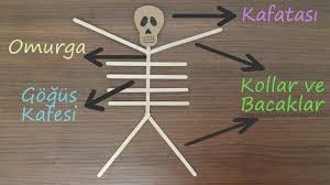 Uygulamalı olarak deney videomuzda gösteriyoruz. Nefis Adli Kullanicinin Harfler Panosundaki Pin Iskelet Egitim Sinif